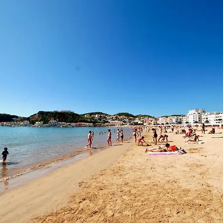 Ocean - Duplex 65m From The With Pool And Parking * Sao Martinho do Porto